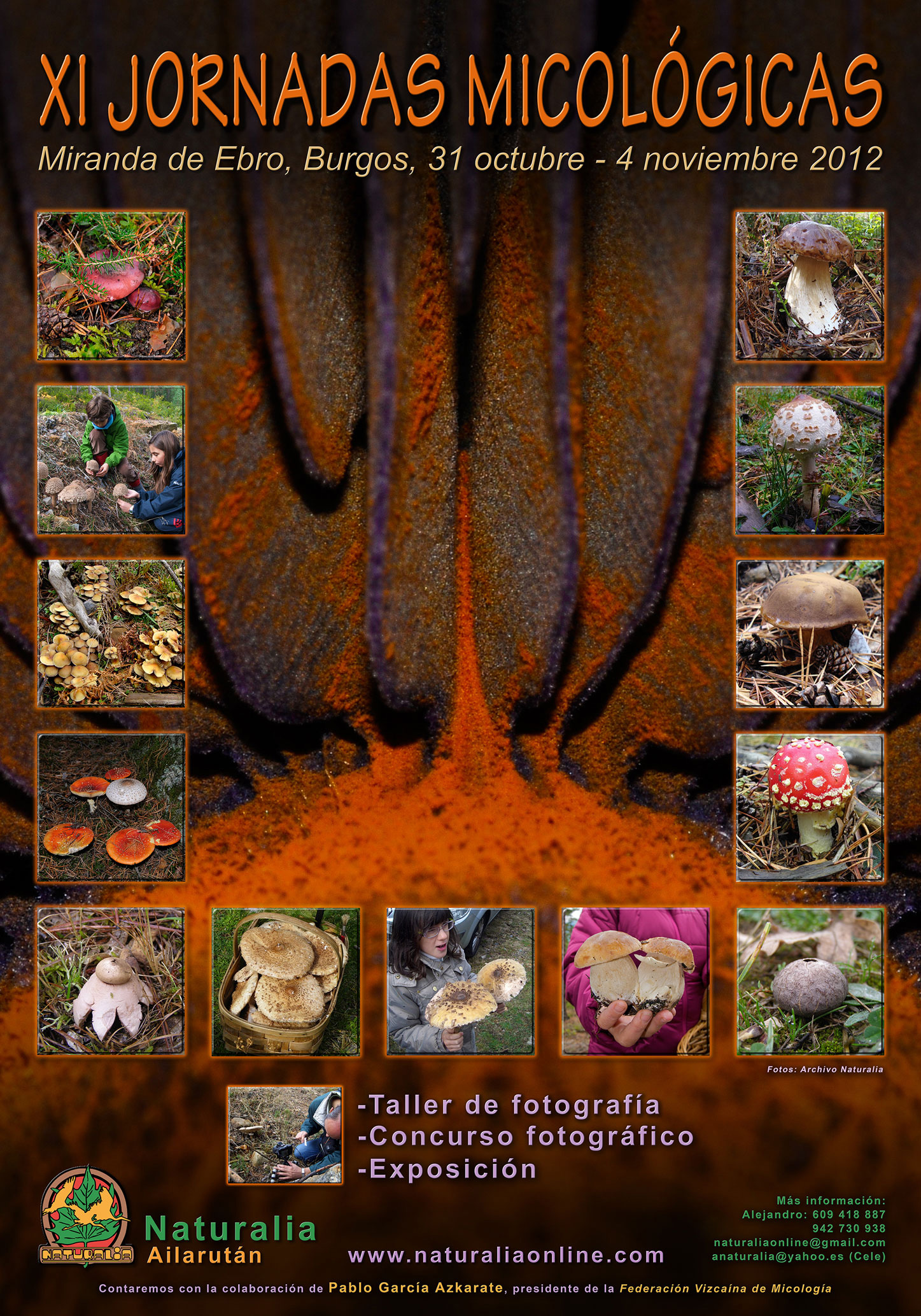 XI Jornadas Micológicas Naturalia
