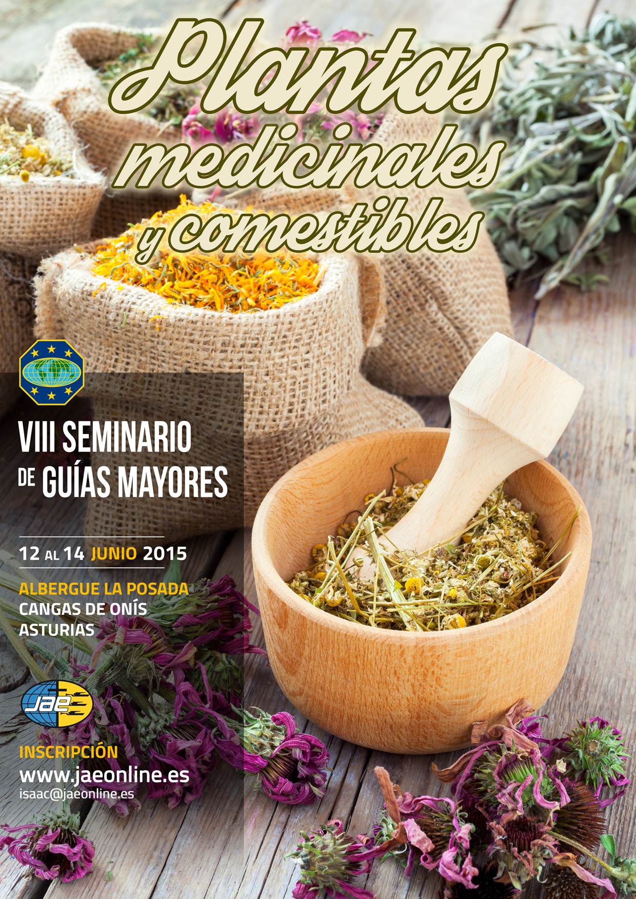 VIII Seminario de Guías Mayores