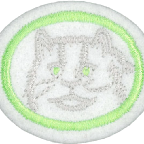 Gatos