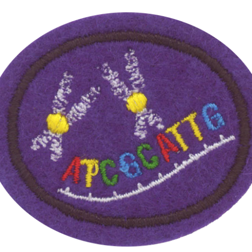 Genética