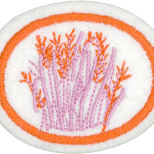 Hierbas aromáticas