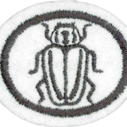Insectos