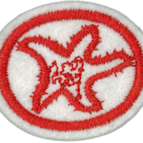 Invertebrados marinos