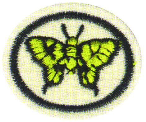 Mariposas