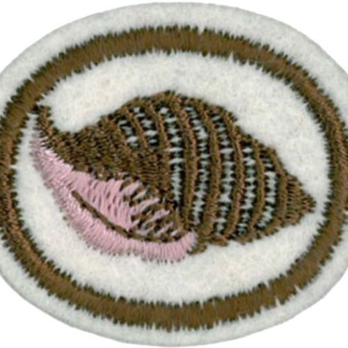 Moluscos