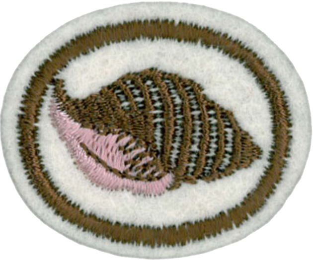 Moluscos