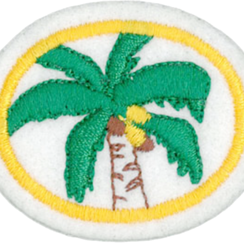 Palmeras
