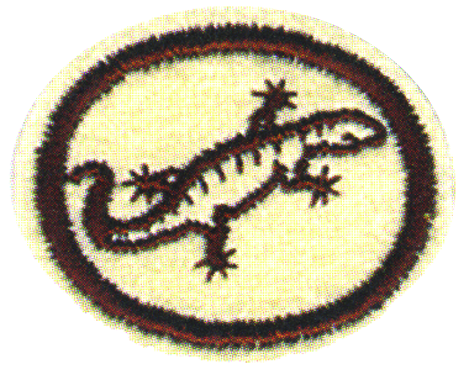 Reptiles