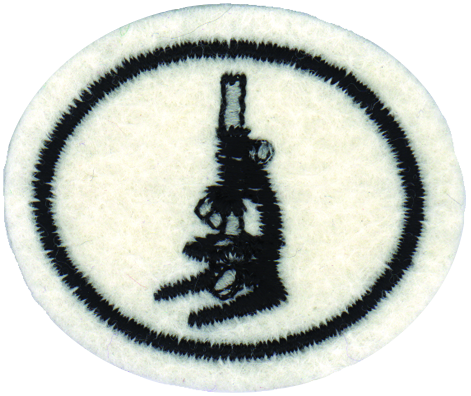 Vida microscópica